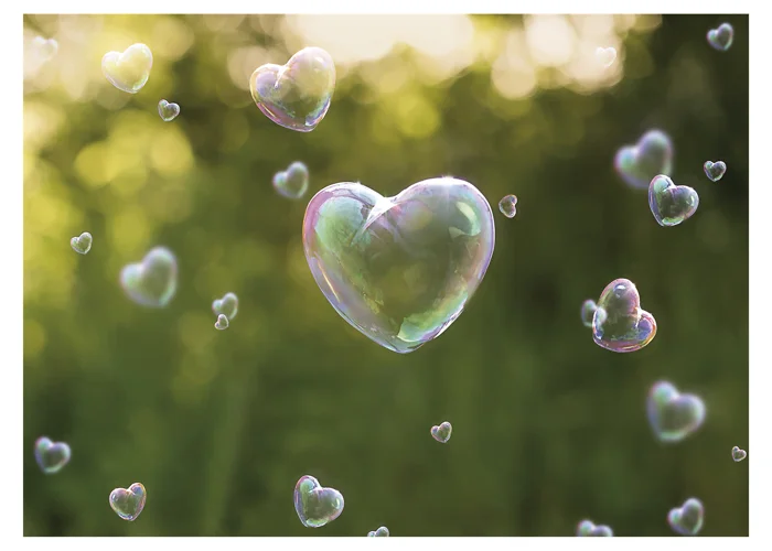 Top 5 Best Twin Flame Stages 5 Bubble love twin flame stage